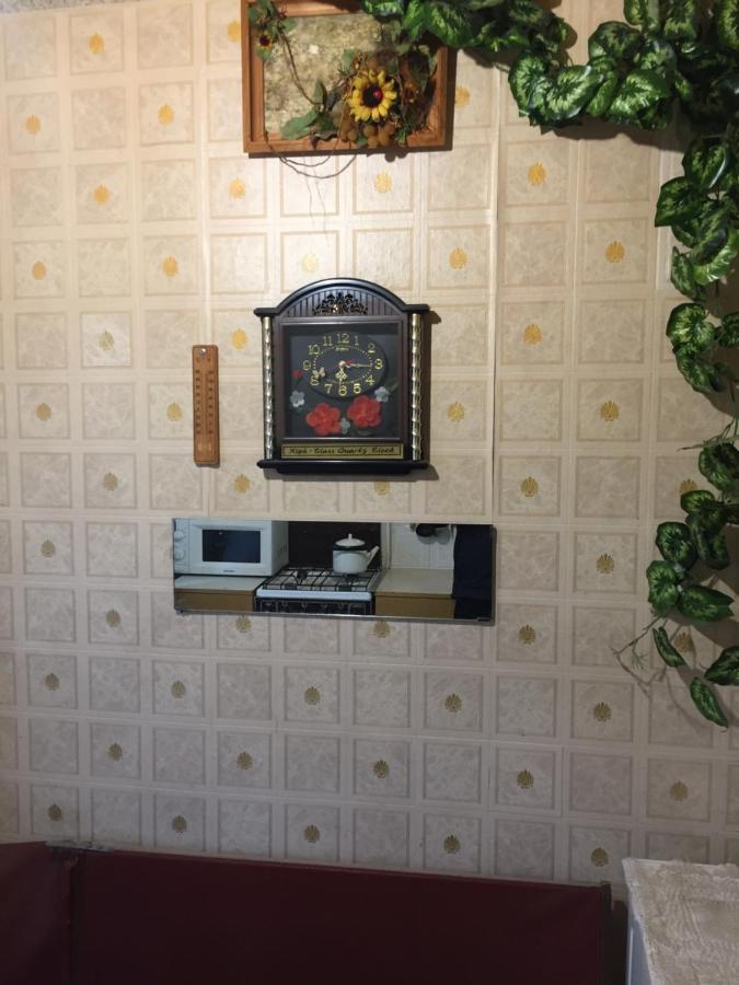 Квартира 2-Кімнатна Бюджетна Центр Парк-10Хв Wi-Fi テルノーピリ エクステリア 写真